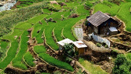 Fansipan Cable Car: All You Need to Know