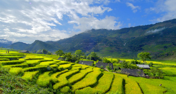 What Is The Best Time to Visit Sapa?