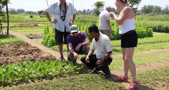 Family Holiday in Hoi An