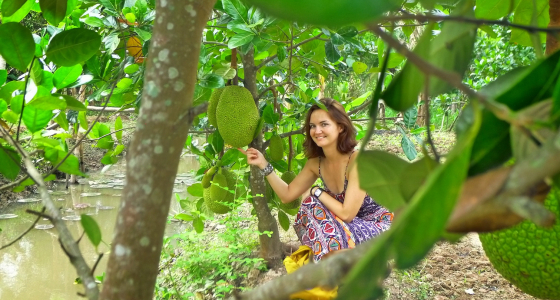 Tips for a Better Mekong Delta Trip