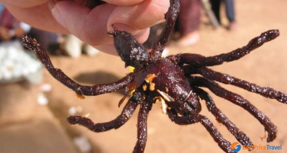 Insects - The Special Taste of Cambodian Cuisine