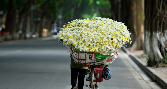 About Vietnam in Winter: What You Should Prepare to Travel?