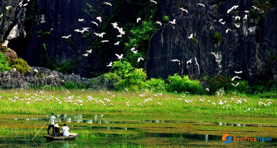 What to Expect in Thung Nham – Ninh Binh?