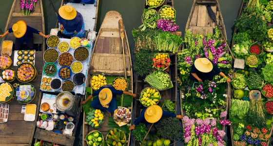 Top 10 Best Things to Do in Thailand 2026