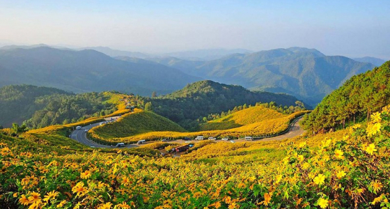 When Is The Best Time to Visit Chiang Mai?