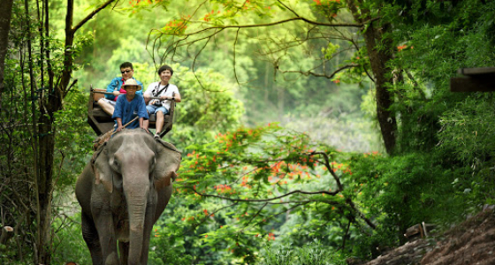 Experience of the Best 6-day Sightseeing in Thailand