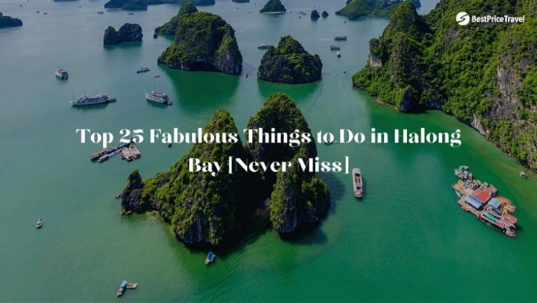 Top 25 Best Things to Do in Halong Bay: From Cruises to Hidden Gems