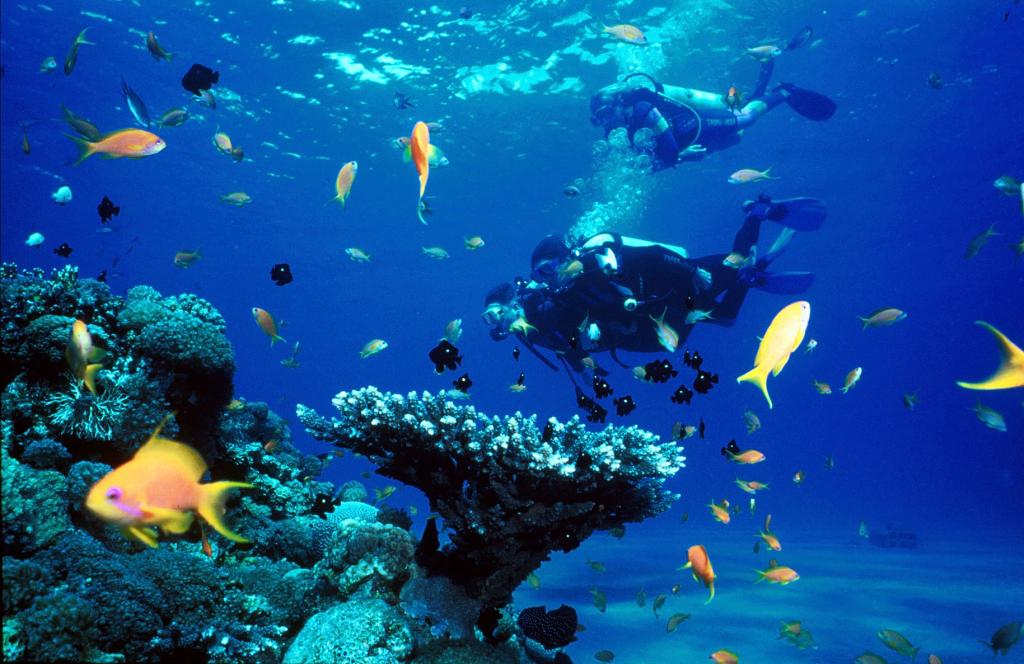 Scuba diving under Nha Trang island