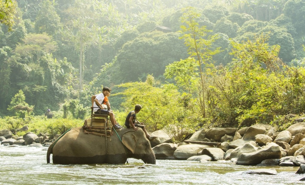 In&nbsp;Elephant Park Project Area