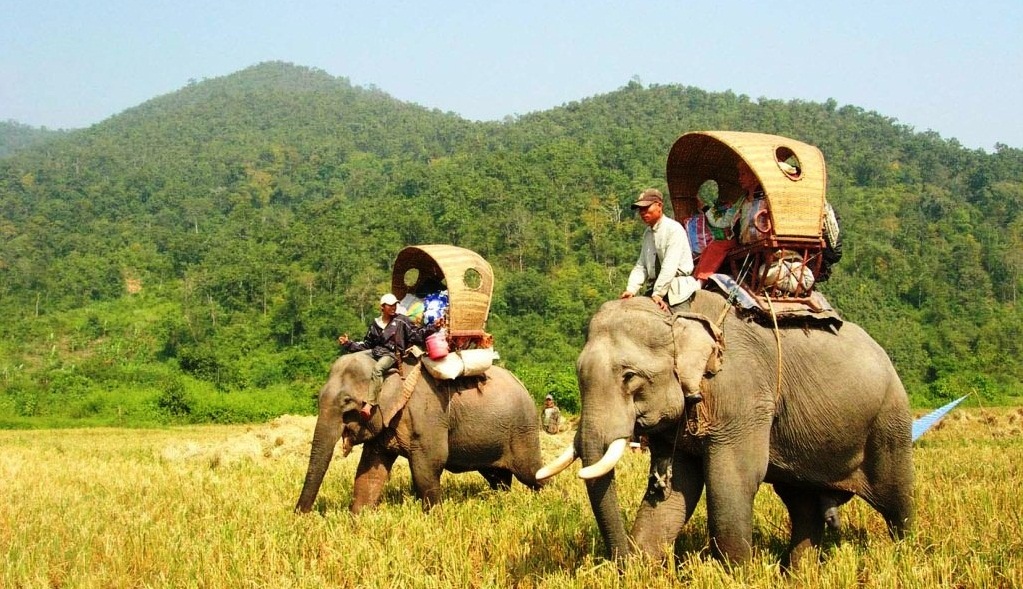 Nice&nbsp;weather&nbsp;is suitable for outdoor activities