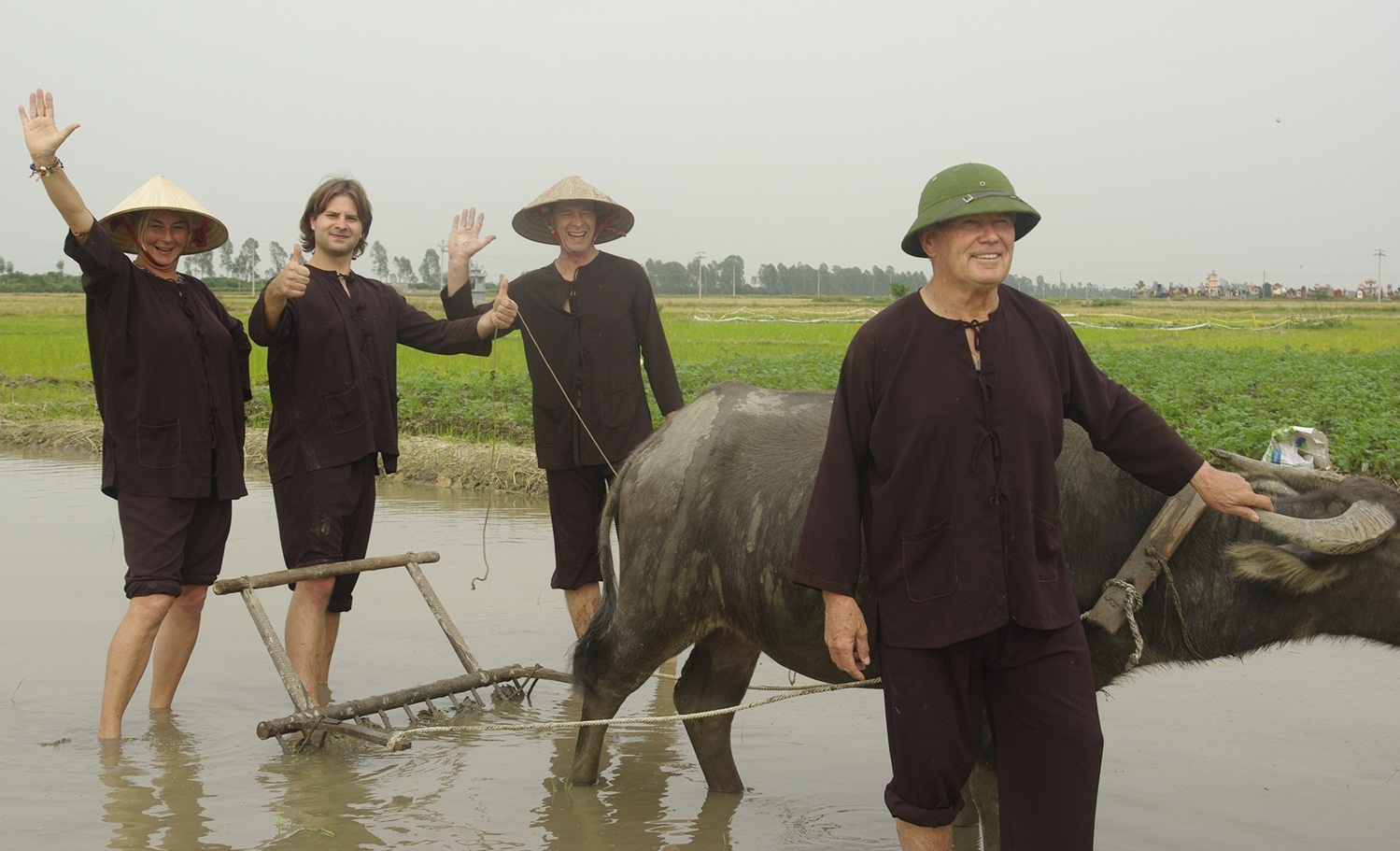 learn Plough the field using a buffalo