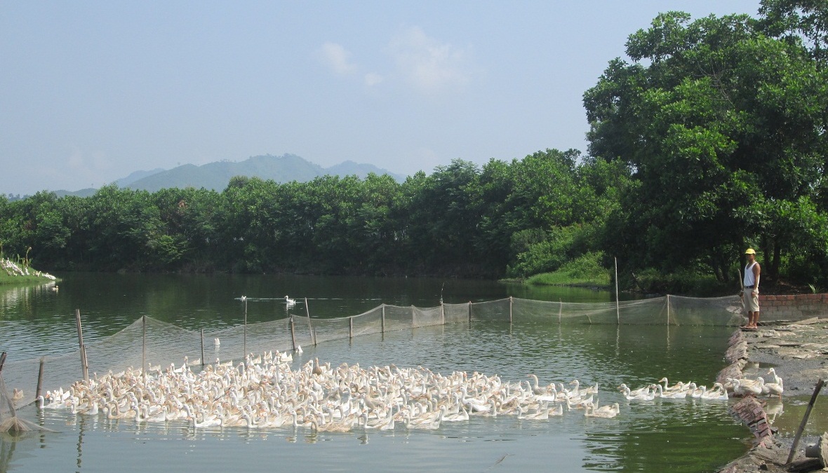 Walking&nbsp;or cycling along&nbsp;village paths