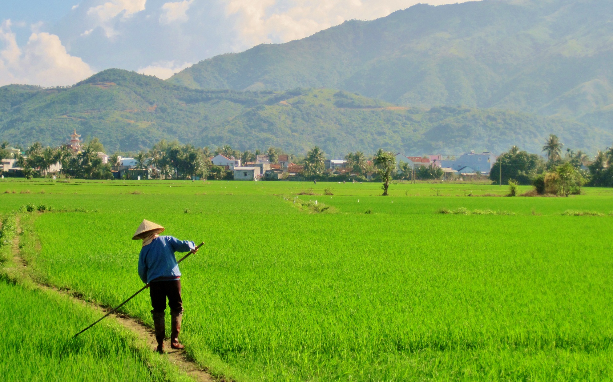 A farmer&nbsp;working on the field