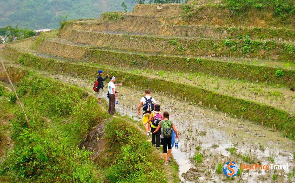 Trekking in Sapa