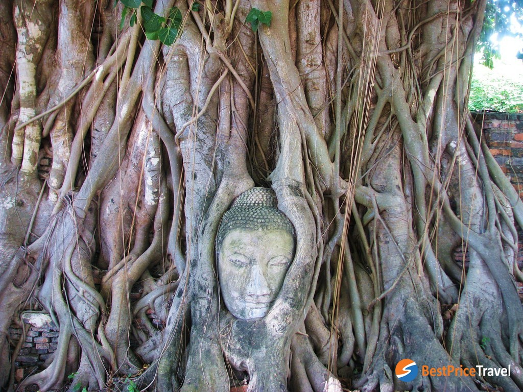 the world-heritage Ayutthaya Historic City