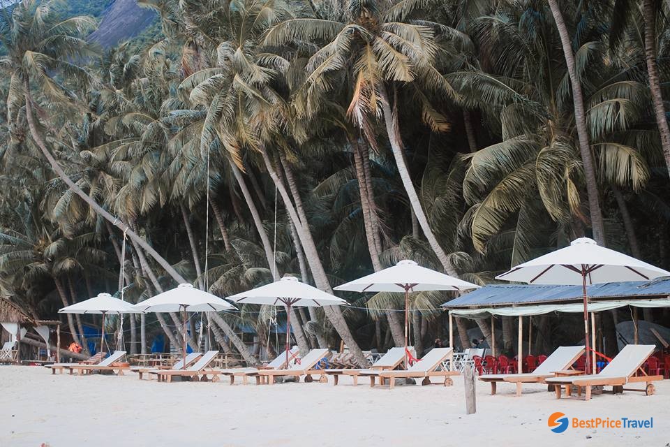 Relaxing under the shadow of coconut trees