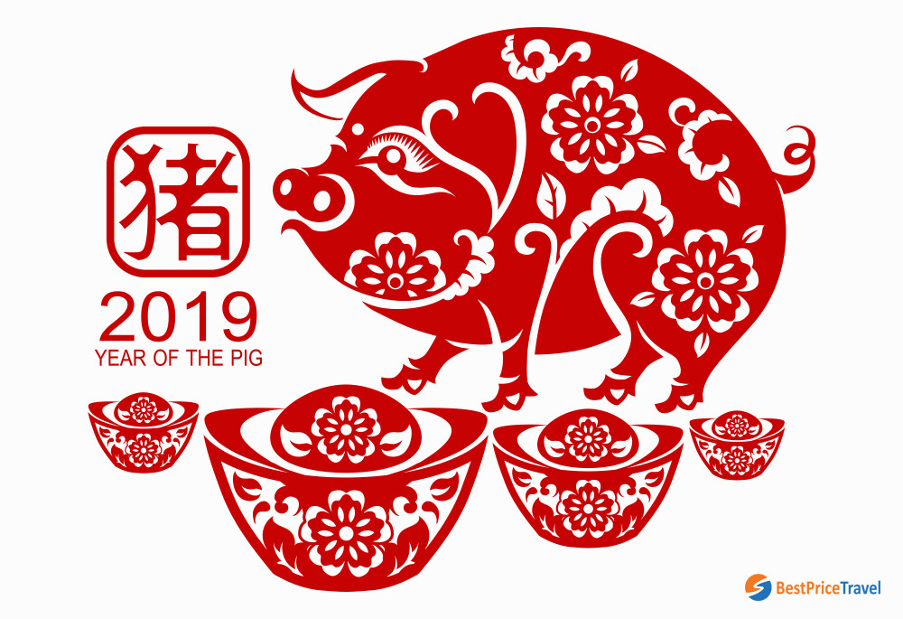 The year of pig 2019