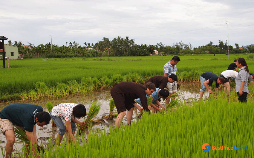 Joining daily activities