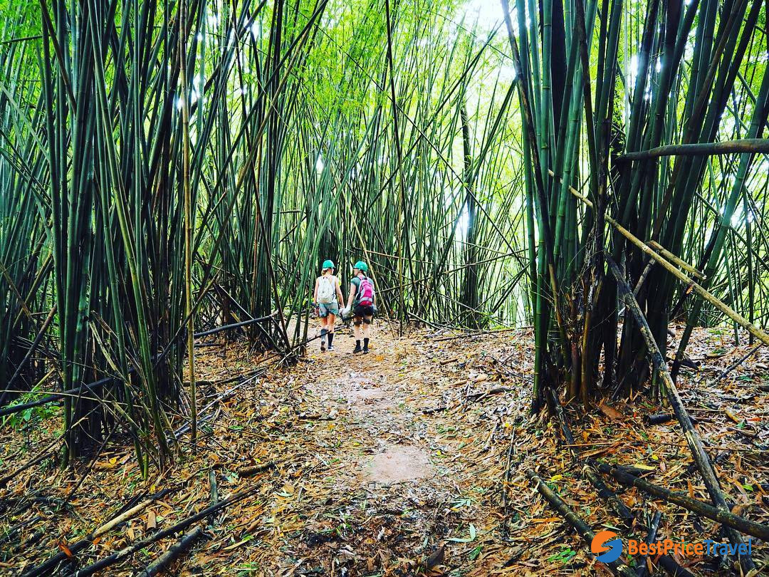 Trekking through Bekeo Nature Reserve