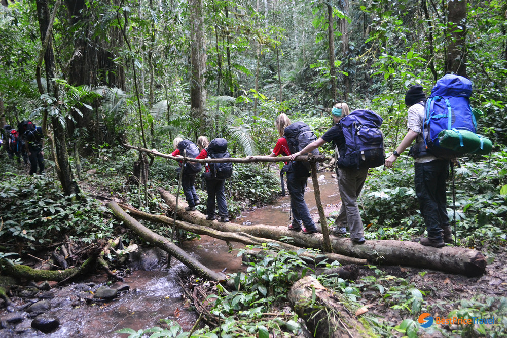 Trekking through Nam Ha National Protected Area