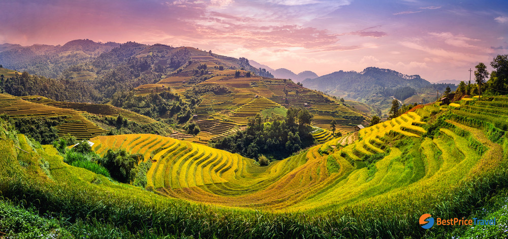 Rice terrace in Sapa
