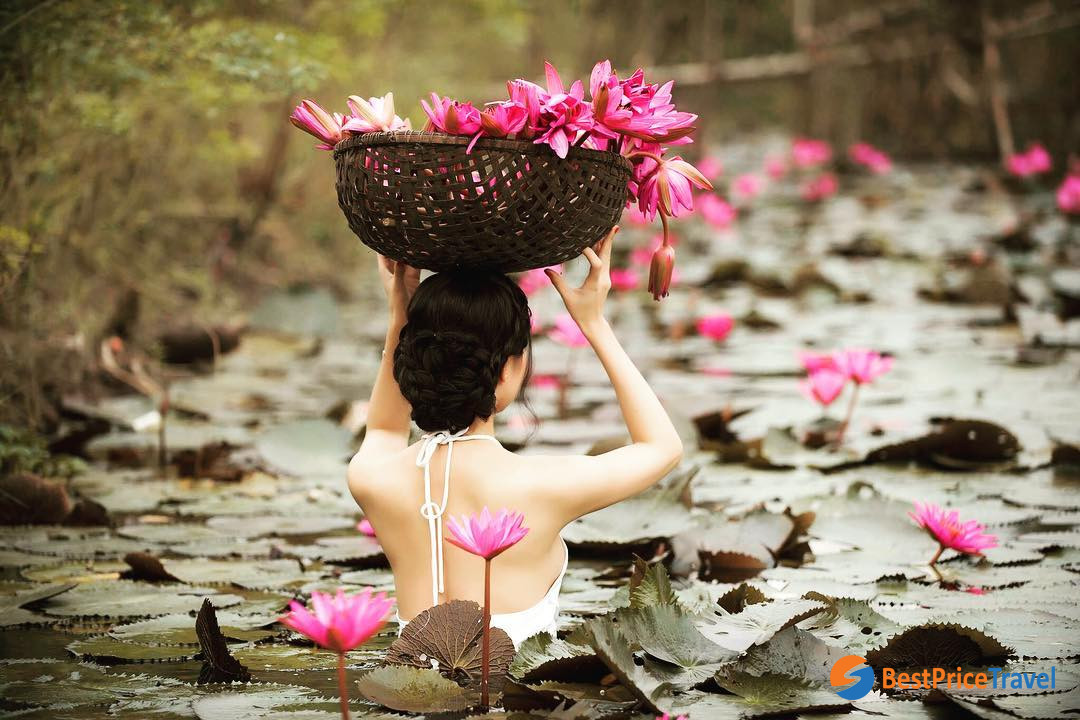 a photo with water lily