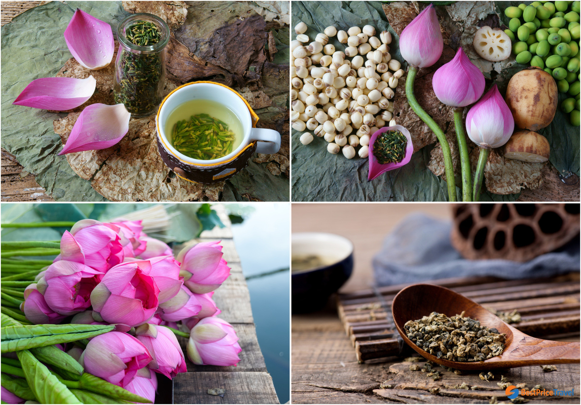 Lotus - Vietnam national flower