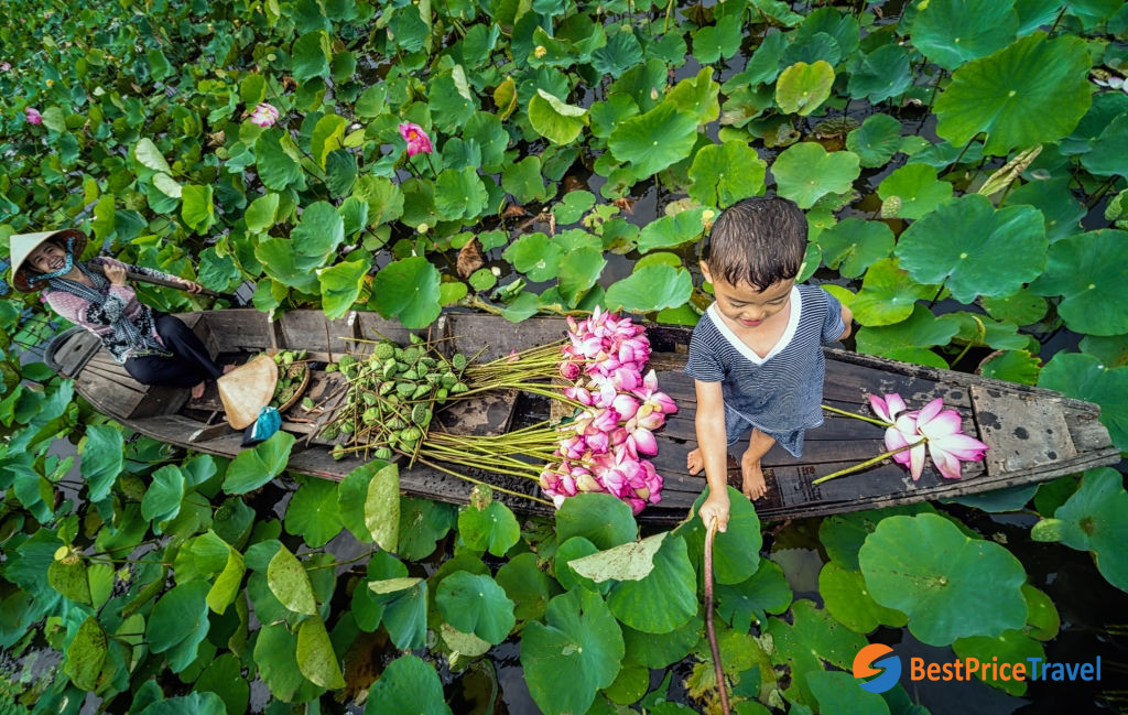 Vietnam Photography with lotus