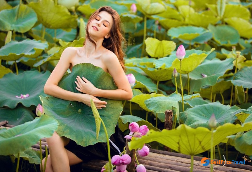 Lotus lake in Vietnam