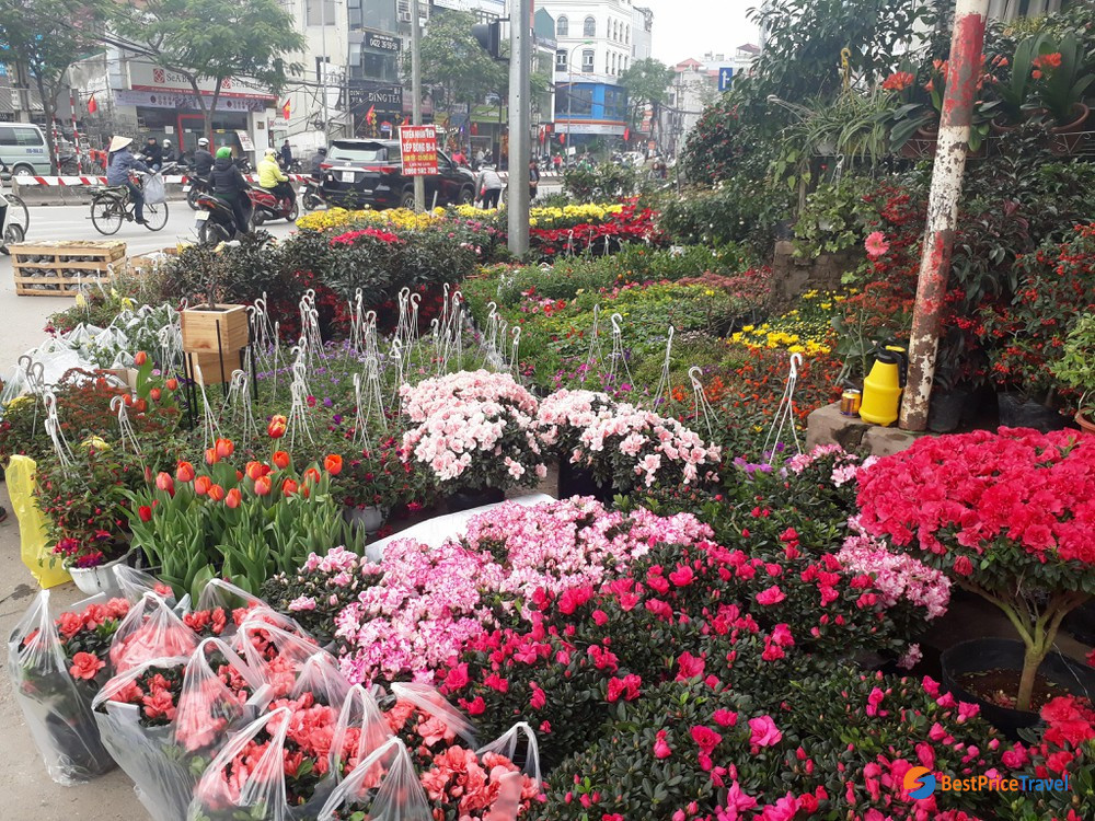 a corner of flower market in tet holiday