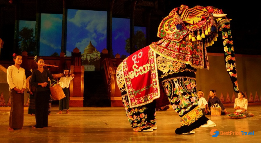 Attend the Dandaree Show