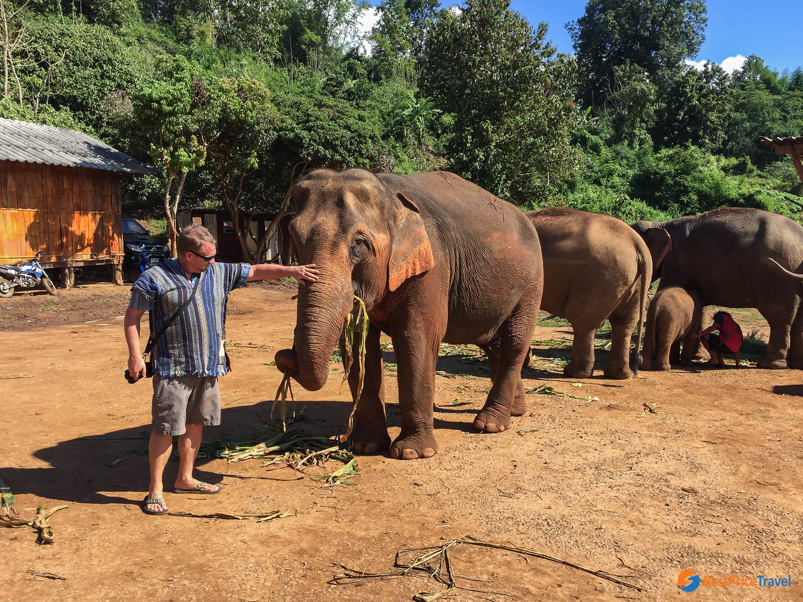 There are many ethical elephant sanctuaries in Chiang Mai