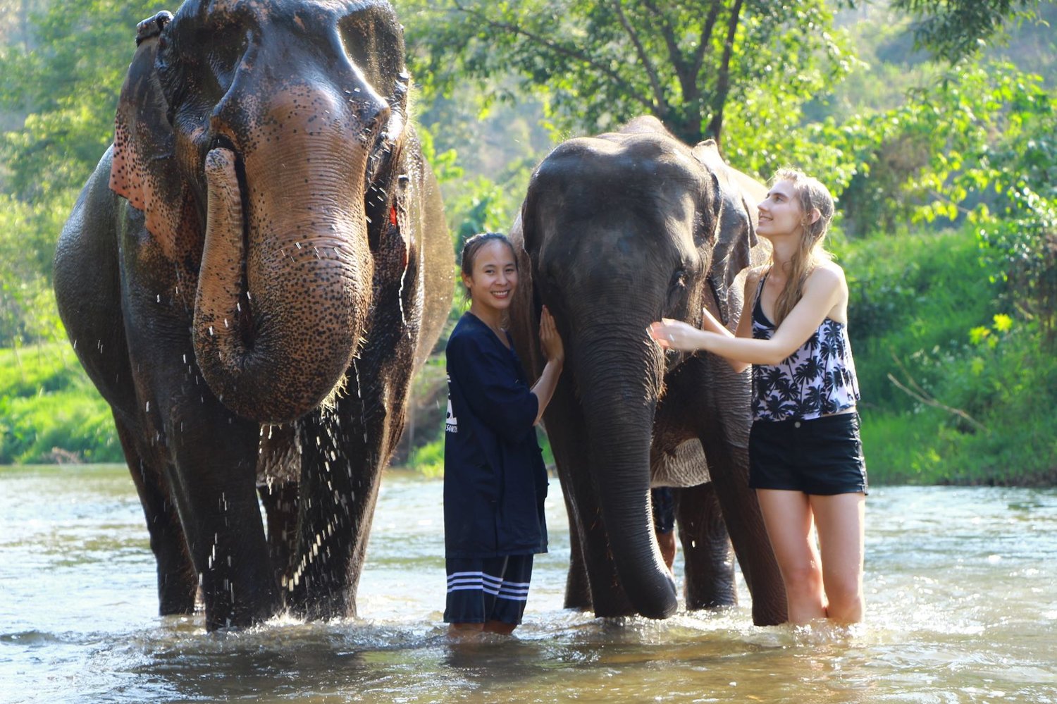 Visit Elephant Sanctuary in Chiang Mai in rainy season
