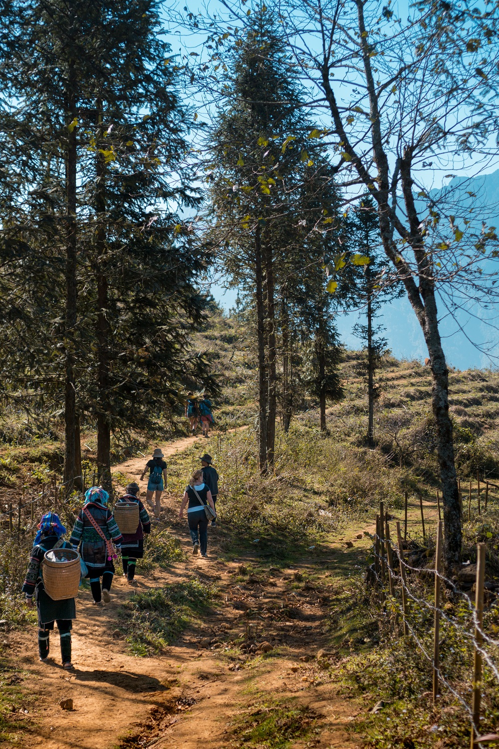 Hiking in Puluong is an interesting pleasure into the outdoor of northern Vietnam