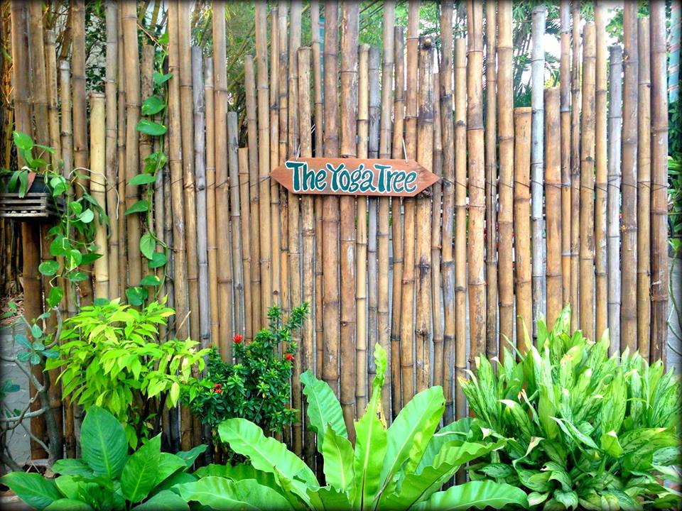 Yoga Tree - Top 6 Studios yoga and pilates in Chiang Mai