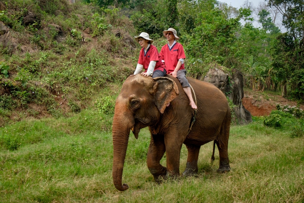 Elephant Sanctuary and Trekking - 5 Elephant Sanctuaries to Visit in Chiang Mai