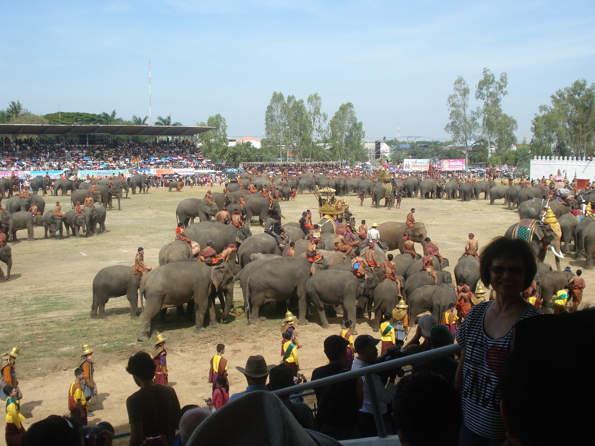 Surin festival