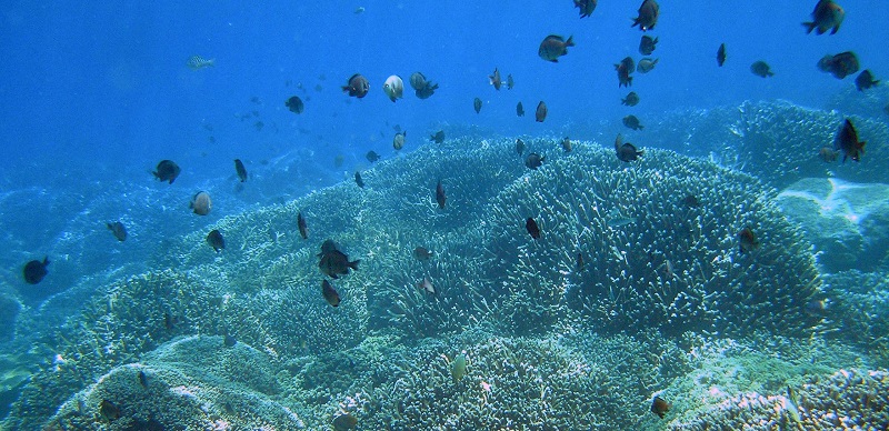 Hon mun island 30 days in Vietnam thailand cambodia 