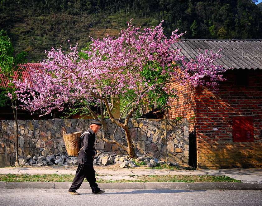 Winter in Ha Giang - Northern Vietnam