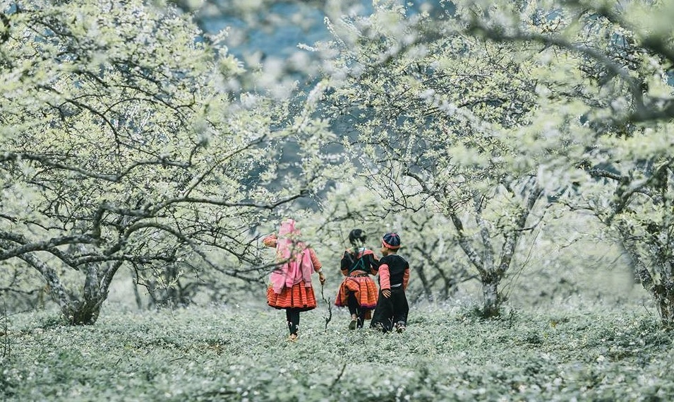 Winter in Nothern Vietnam