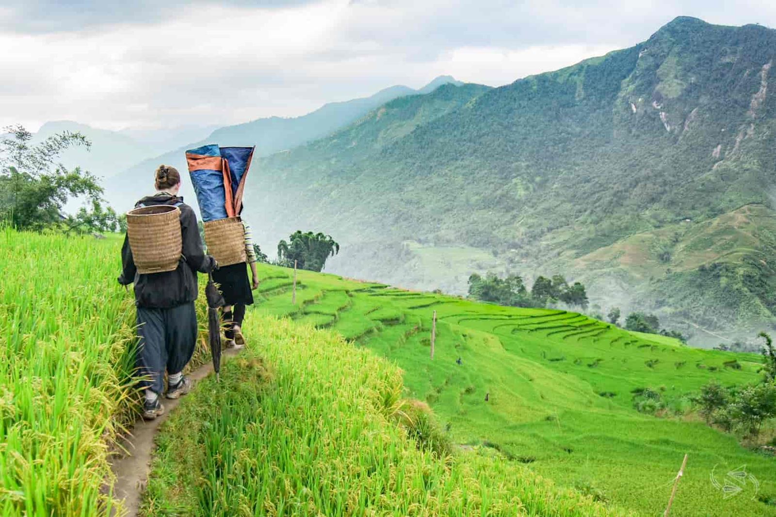 Trekking in Sapa