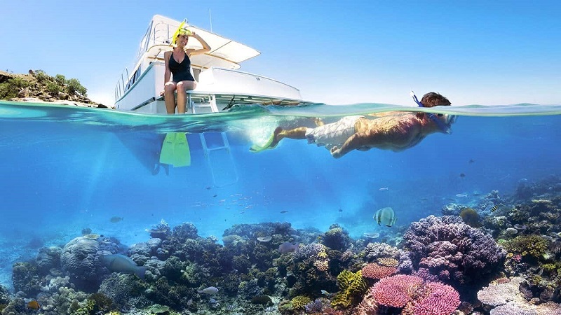 Snorkelling in Con Dao Island