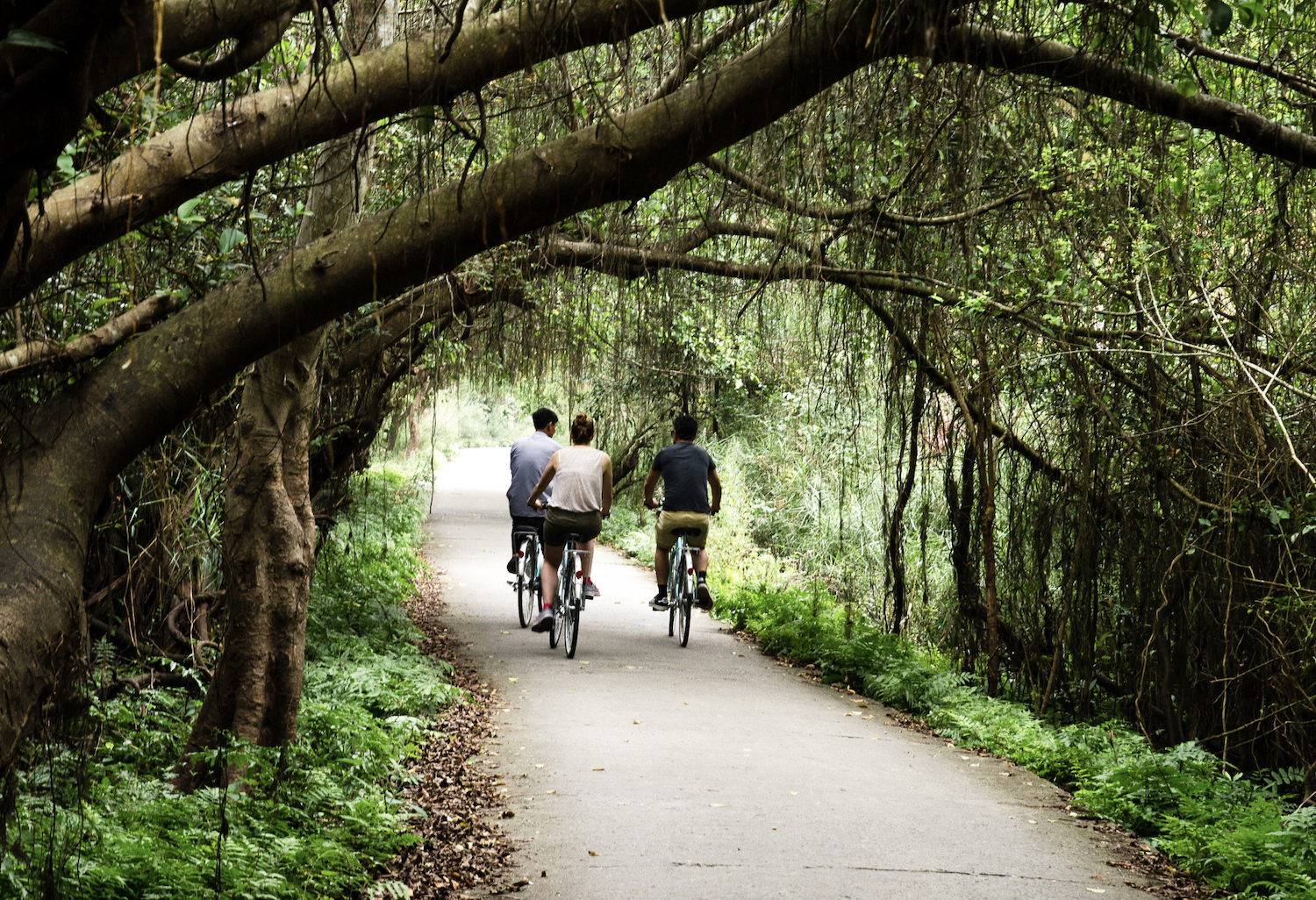 Cycling in Viet Hai Village - Cat Ba Island