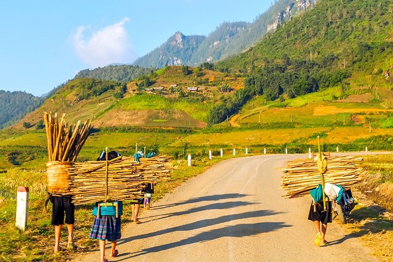 Trekking in Sapa
