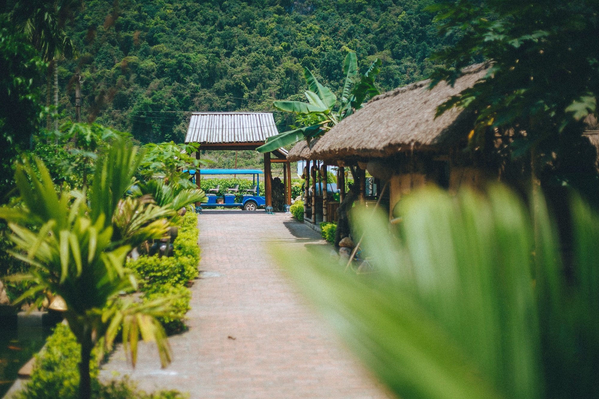 Viet Hai village - Things to do in Cat Ba