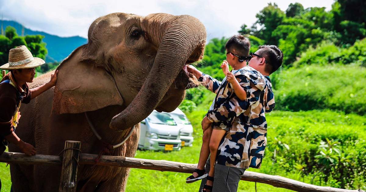 Mae Sa Elephant Camp - 15-day Thailand Itinerary