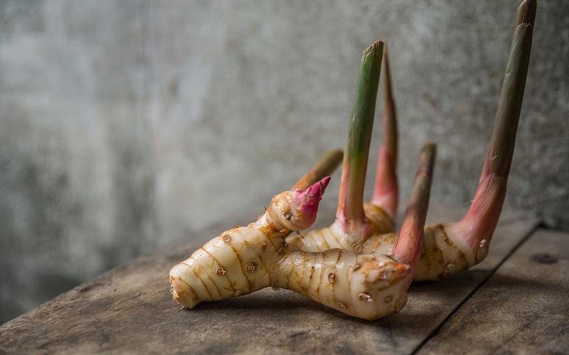 Galangal