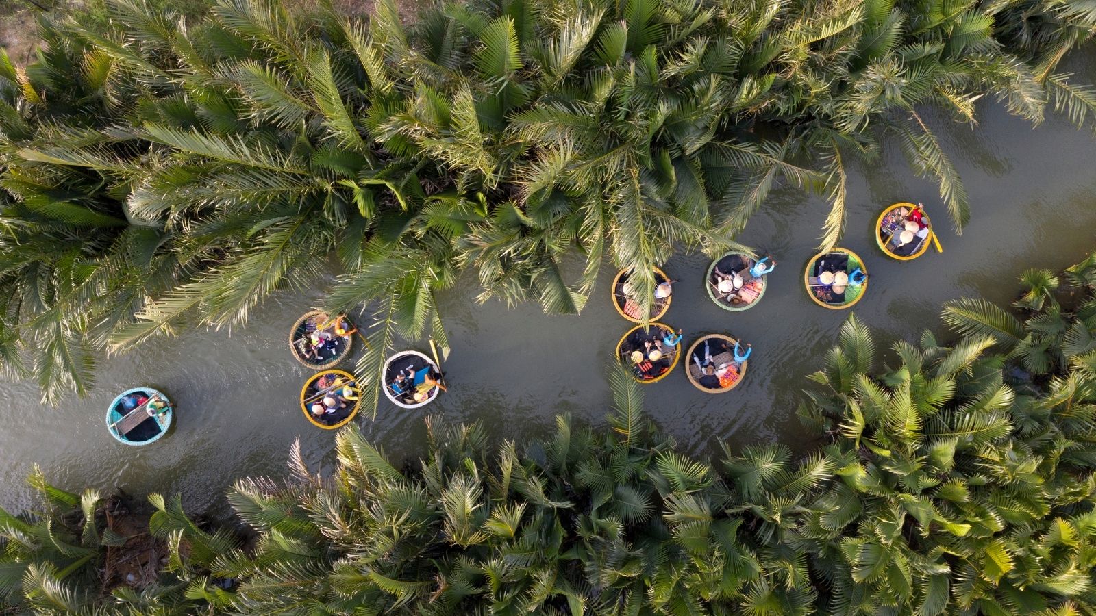 Coconut Forest in Cam Thanh Village