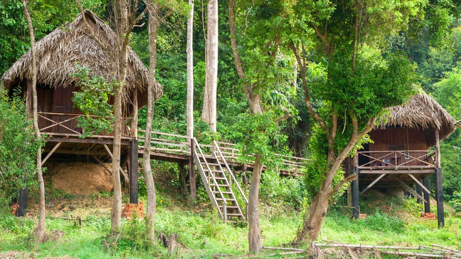 Cat Tien National Park