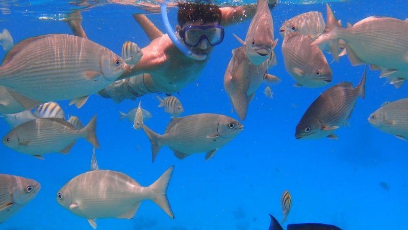 Scuba diving in Nha Trang